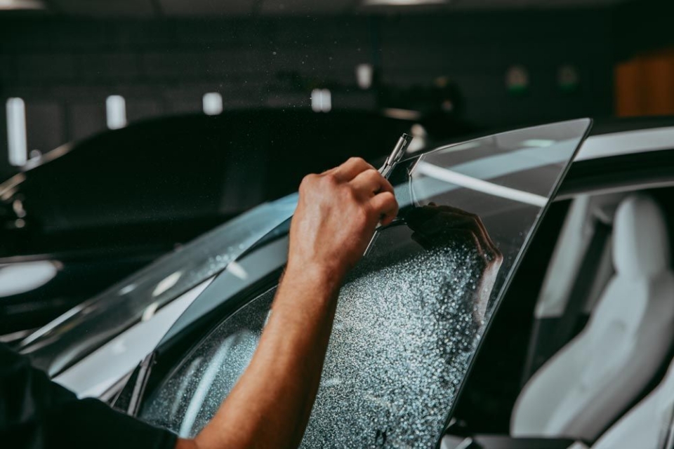 Tint squeegee